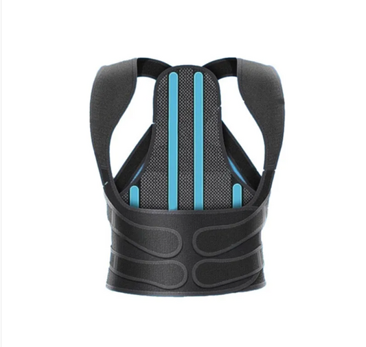 Back Support Belt